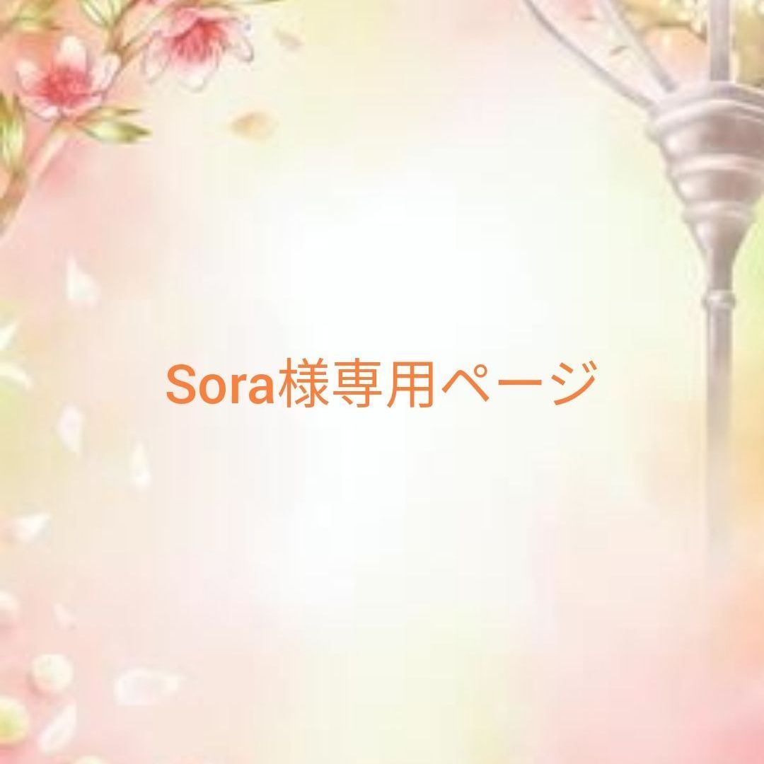 Sora様専用ページ - メルカリ Sora様専用ページ - メルカリ