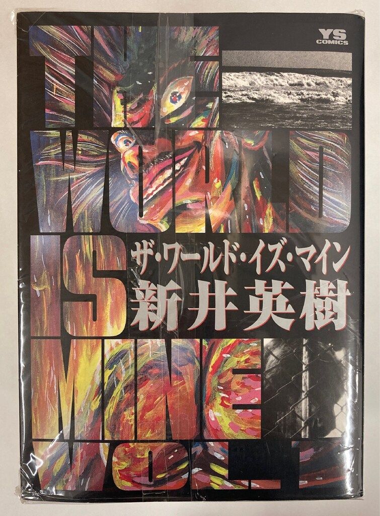 小学館 ヤングサンデーコミックス 新井英樹 The World Is Mine全14巻
