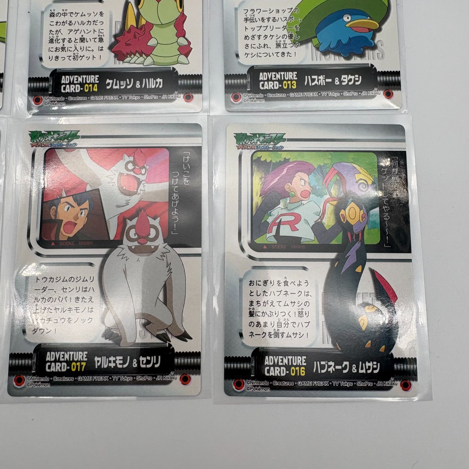 ポケモンずかんカード アドバンスジェネレーション コンプリートセット