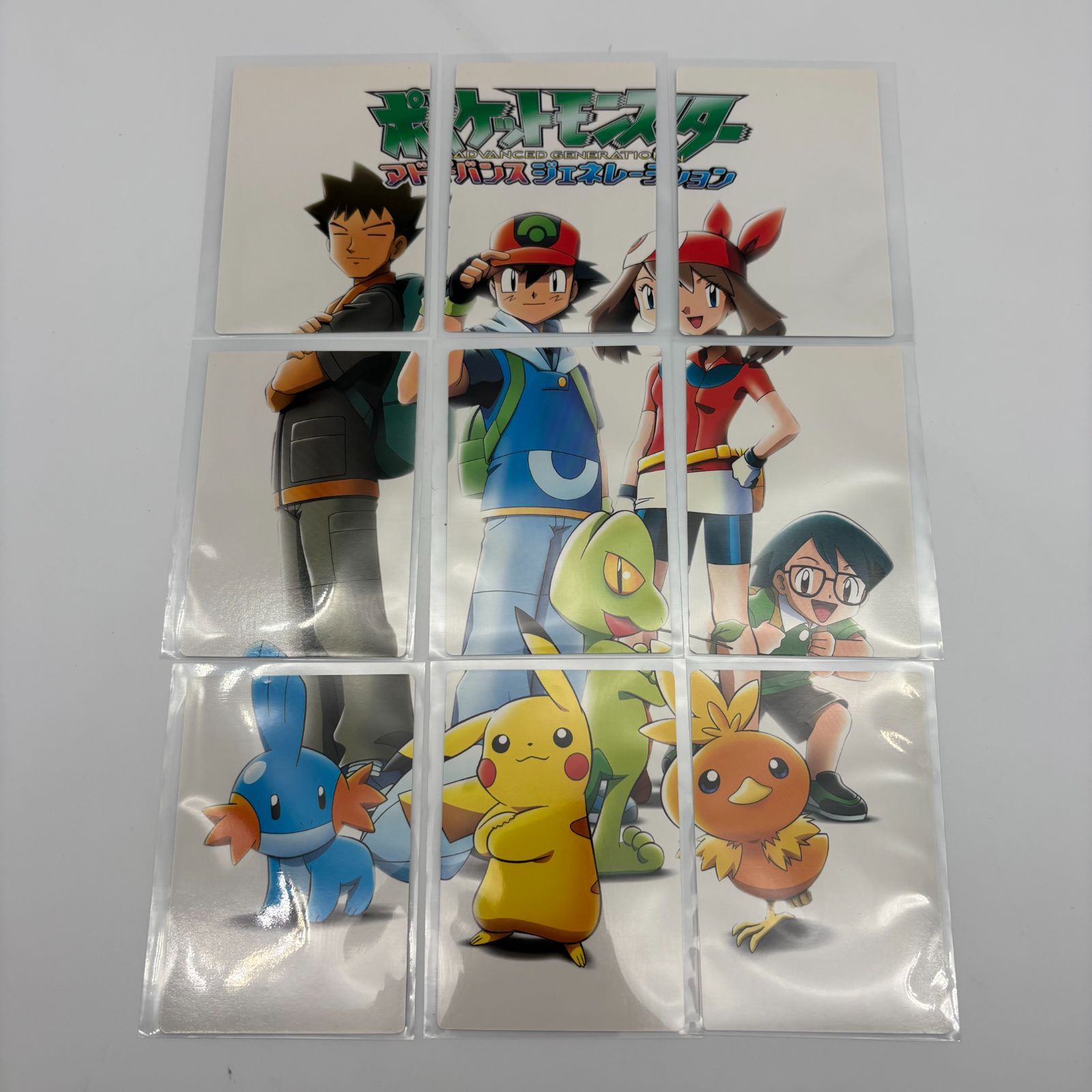 ポケモンずかんカード アドバンスジェネレーション コンプリートセット