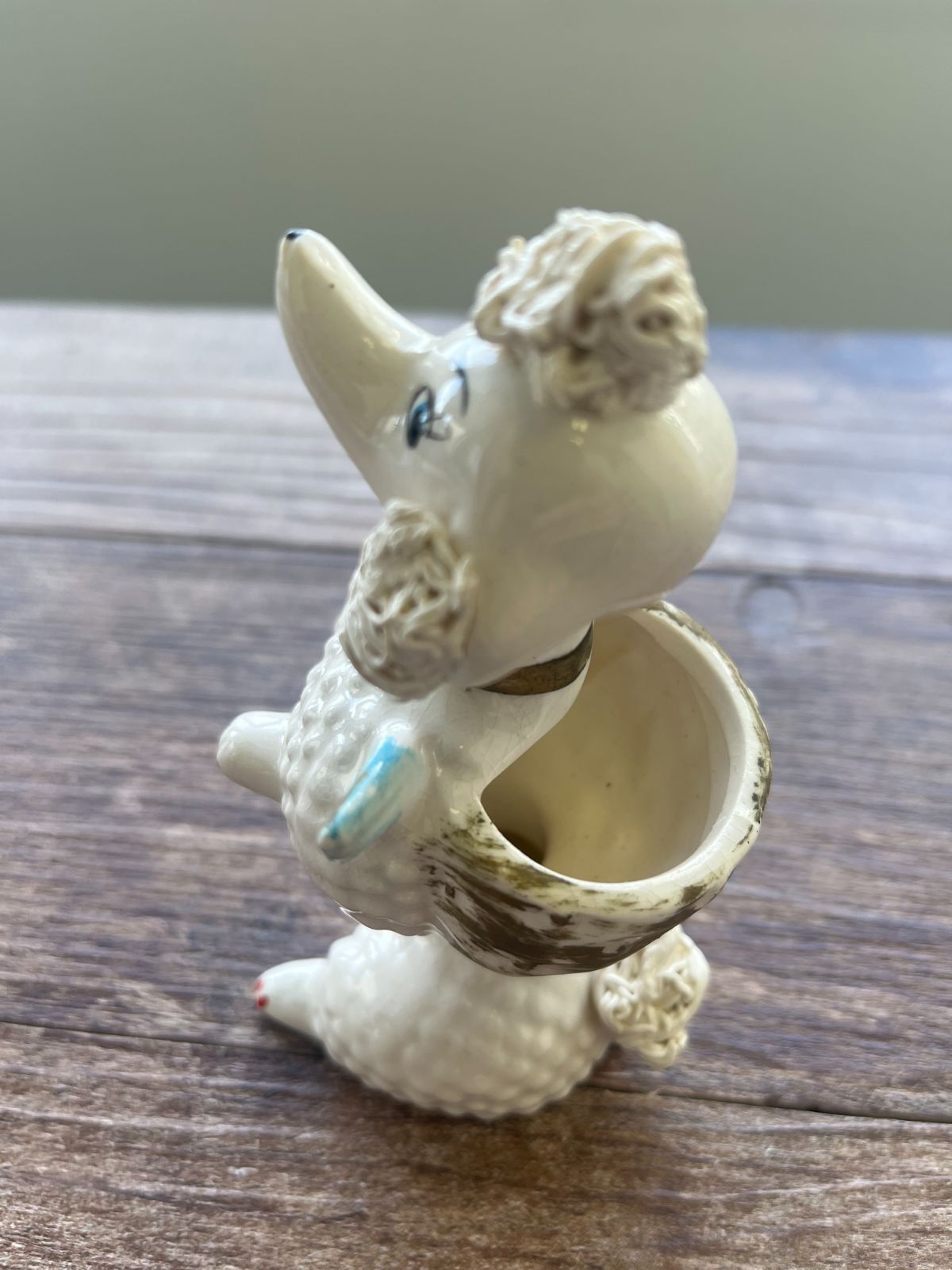 稀少 逆輸入品！スパゲティプードル スパゲッティプードル フランス