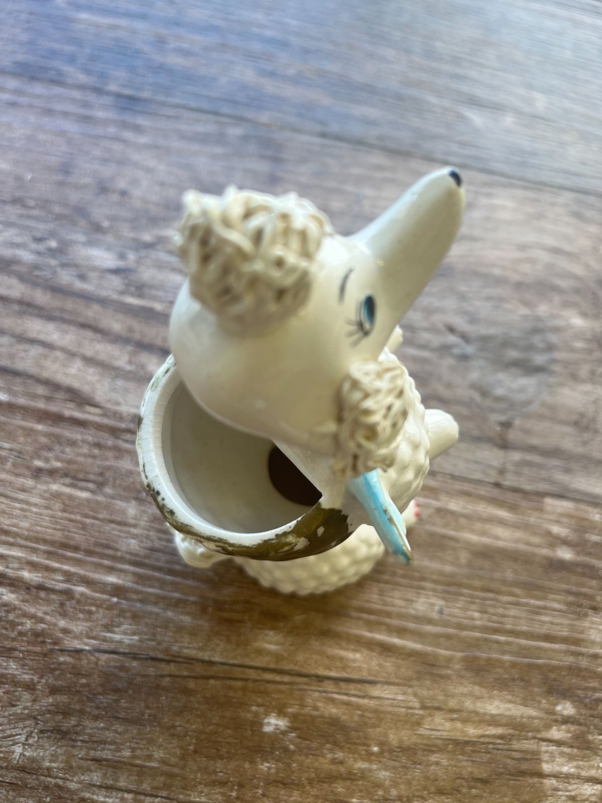 稀少 逆輸入品！スパゲティプードル スパゲッティプードル フランス