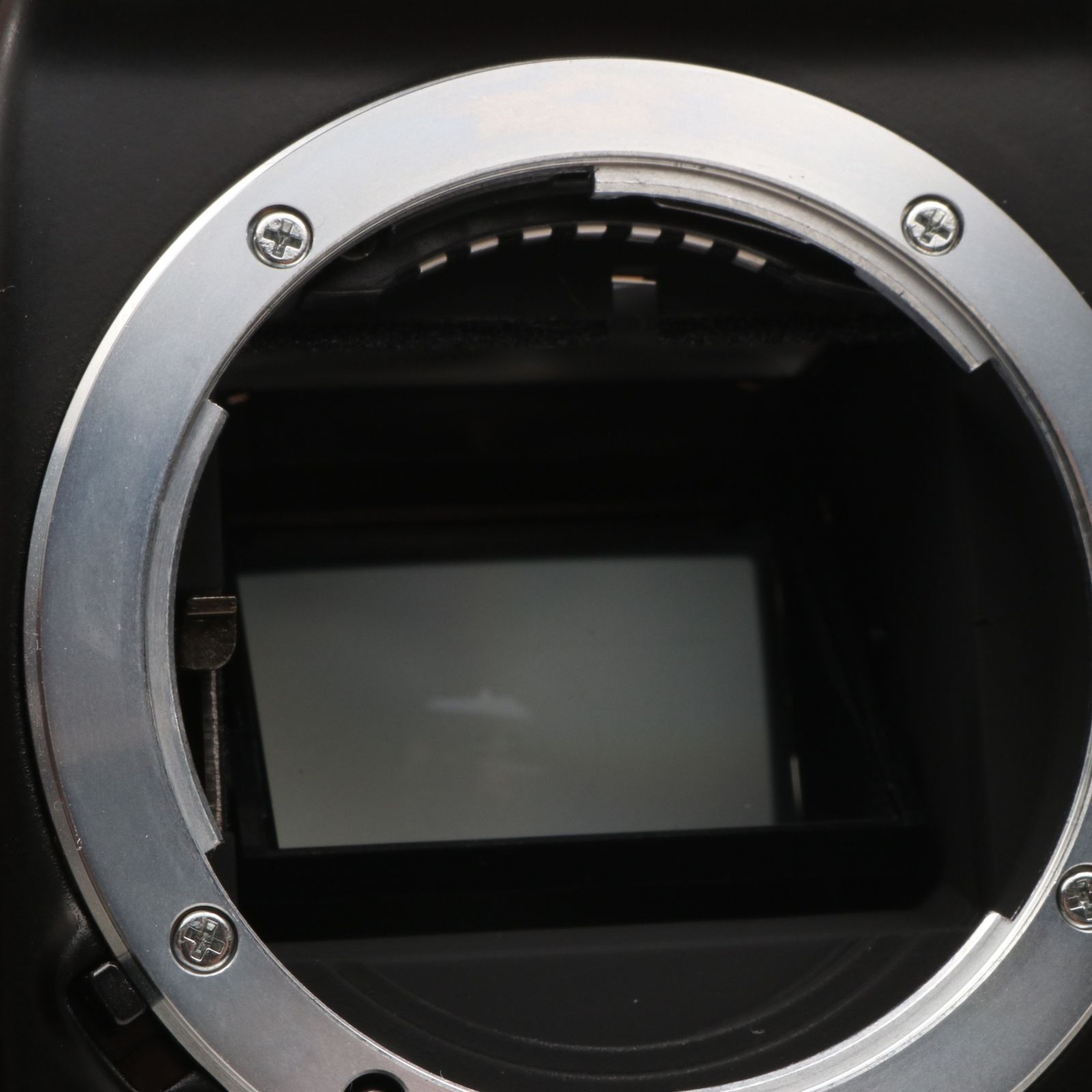 NIKON F50 ニコン 一眼レフ フィルムカメラボディ - メルカリ