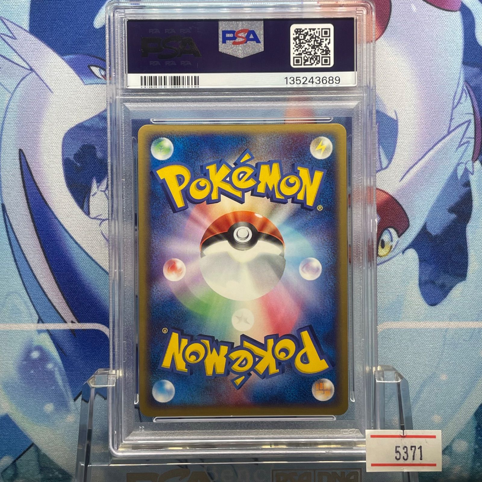 PSA10 ブラッキー 1ED R ADV マグマVSアクア ふたつの野望 062 2003 A