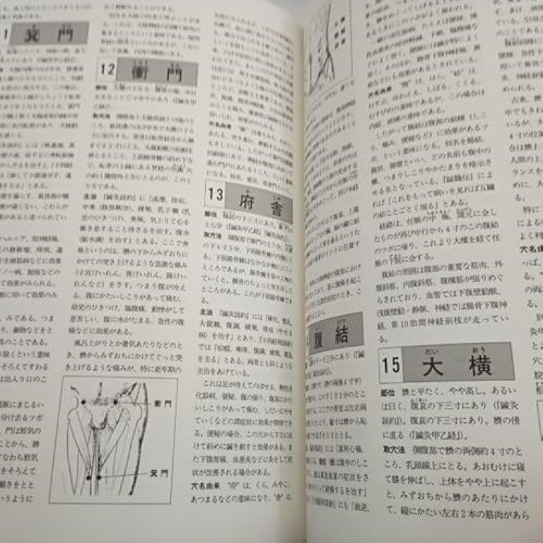 新版 ツボ療法大図鑑 ツボの基礎知識と臨床応用のすべて 芹澤勝助