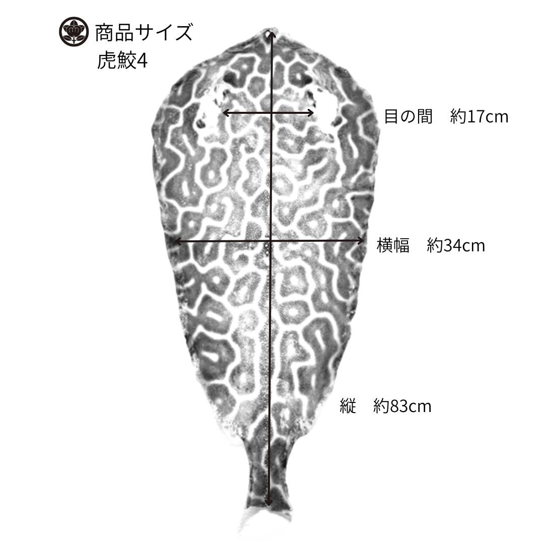 虎鮫④ 刀剣用 鮫鞘 鮫皮 エイ革 - メルカリ