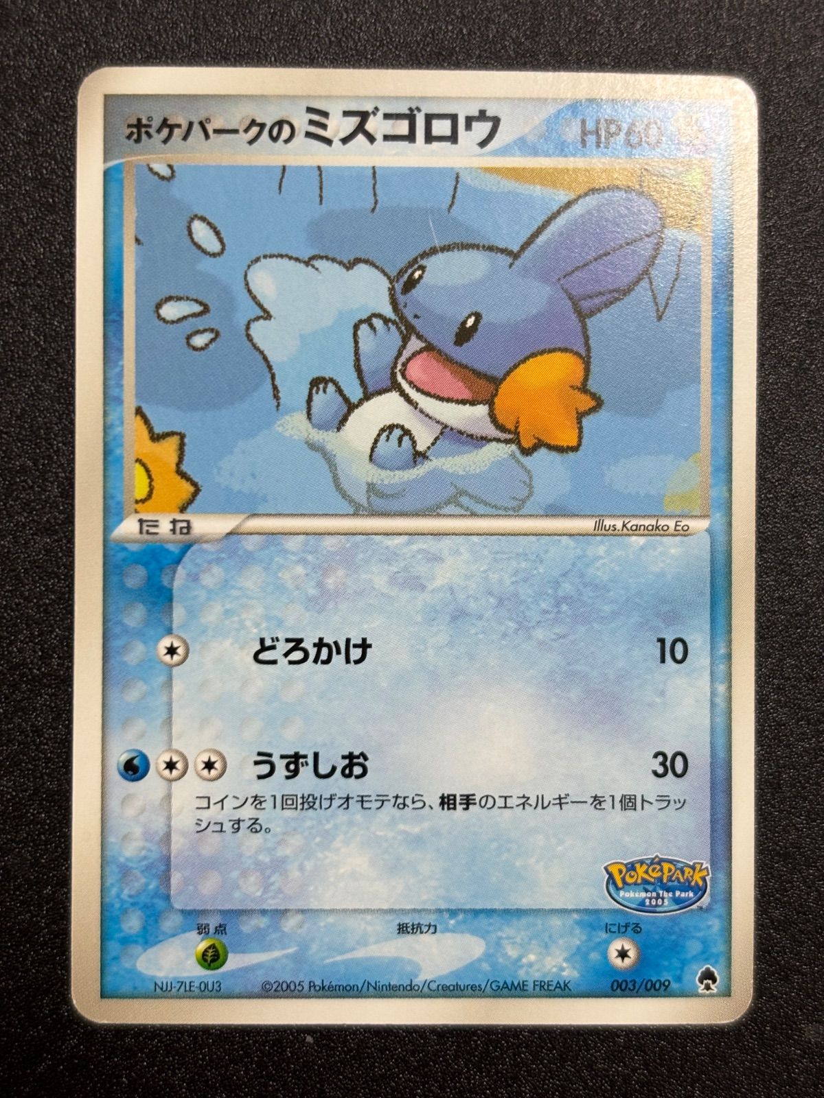 ポケパークのミズゴロウ プロモ プレミアムファイル - メルカリ