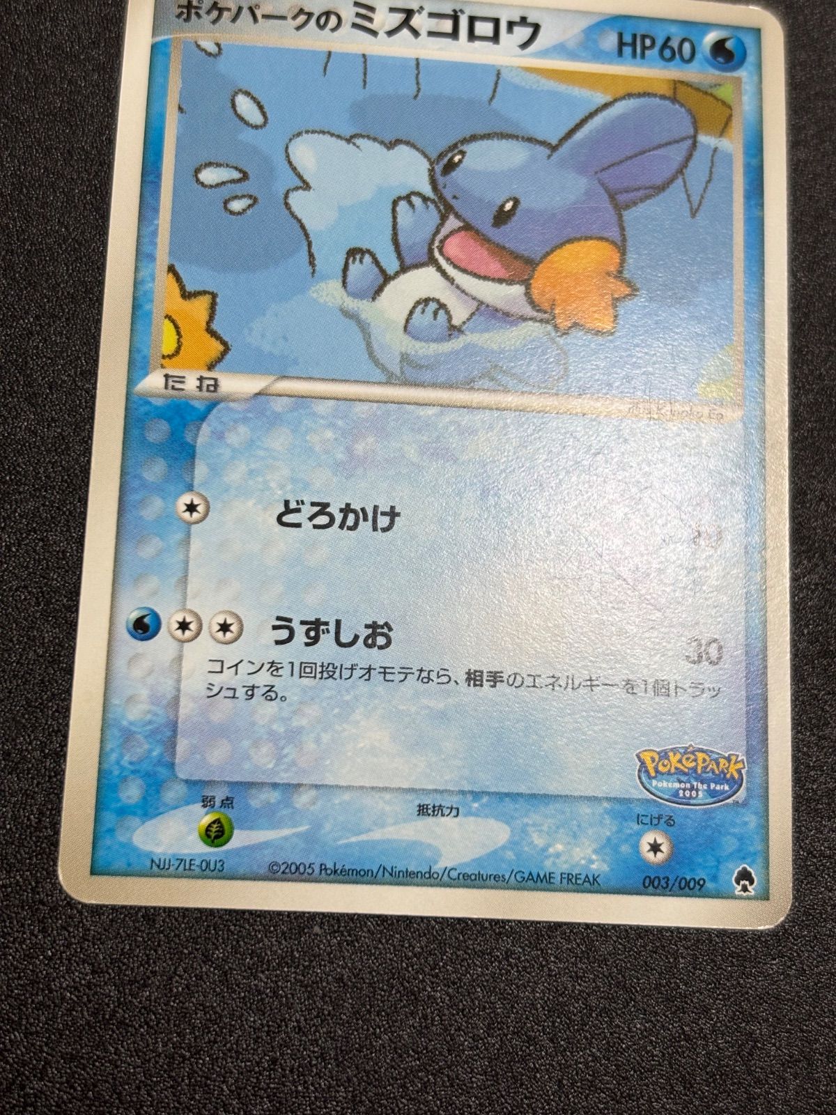 ポケパークのミズゴロウ プロモ プレミアムファイル - メルカリ
