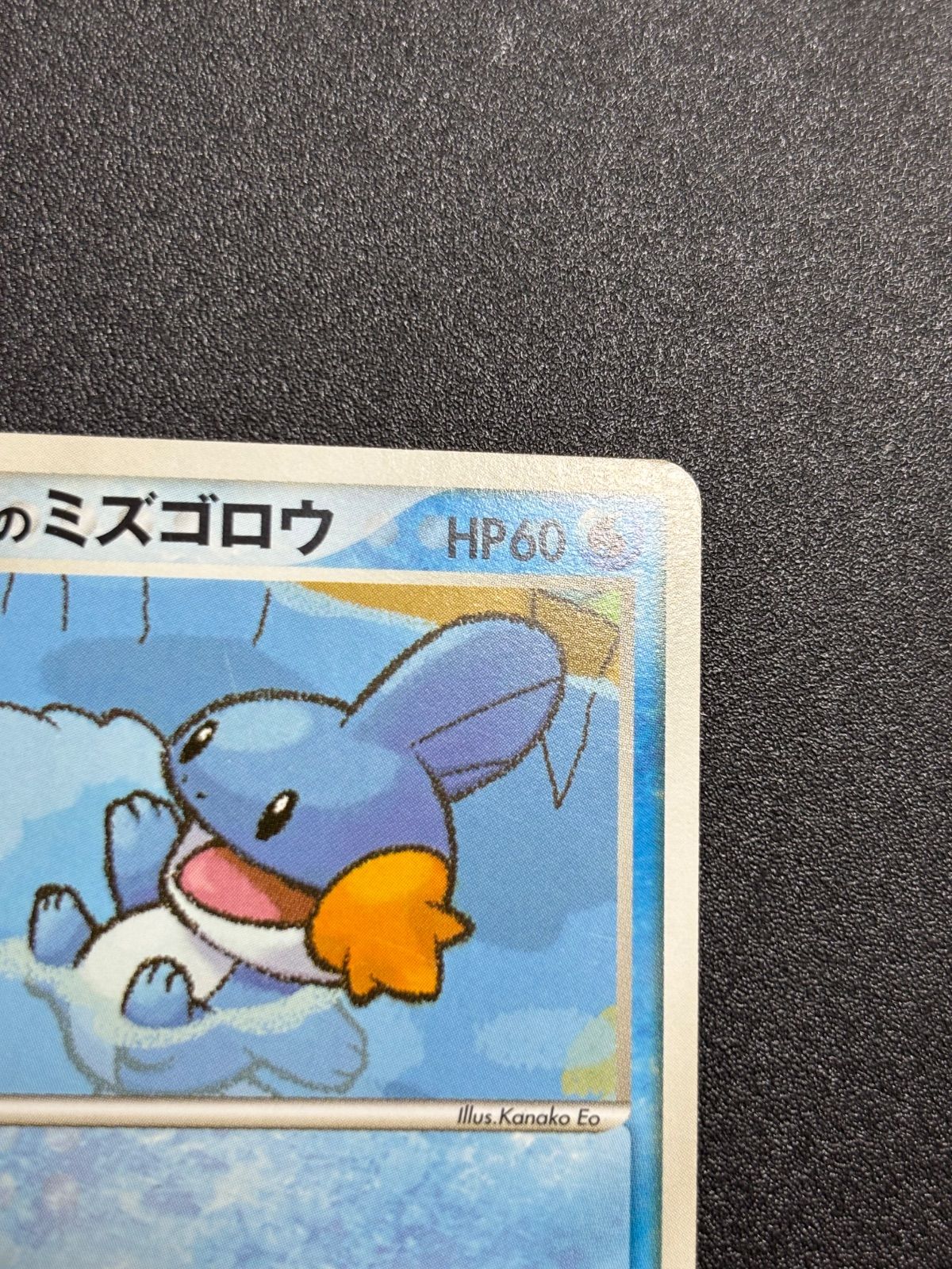 ポケパークのミズゴロウ プロモ プレミアムファイル - メルカリ