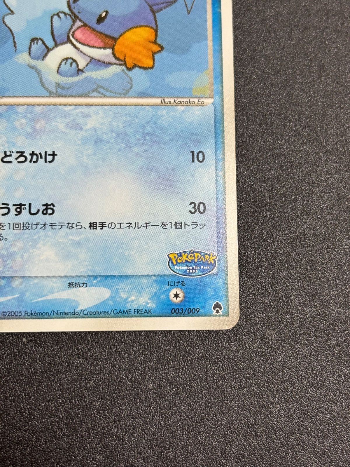 ポケパークのミズゴロウ プロモ プレミアムファイル - メルカリ