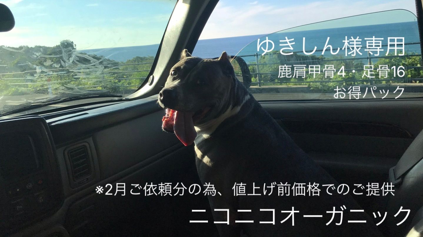 ゆきしん様専用 【公式通販】