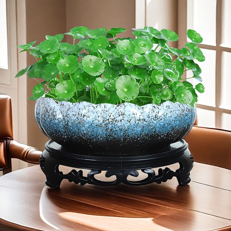 水耕栽培に最適】陶器製植木鉢 穴あけ不要 植物・小魚飼育OK 屋内外