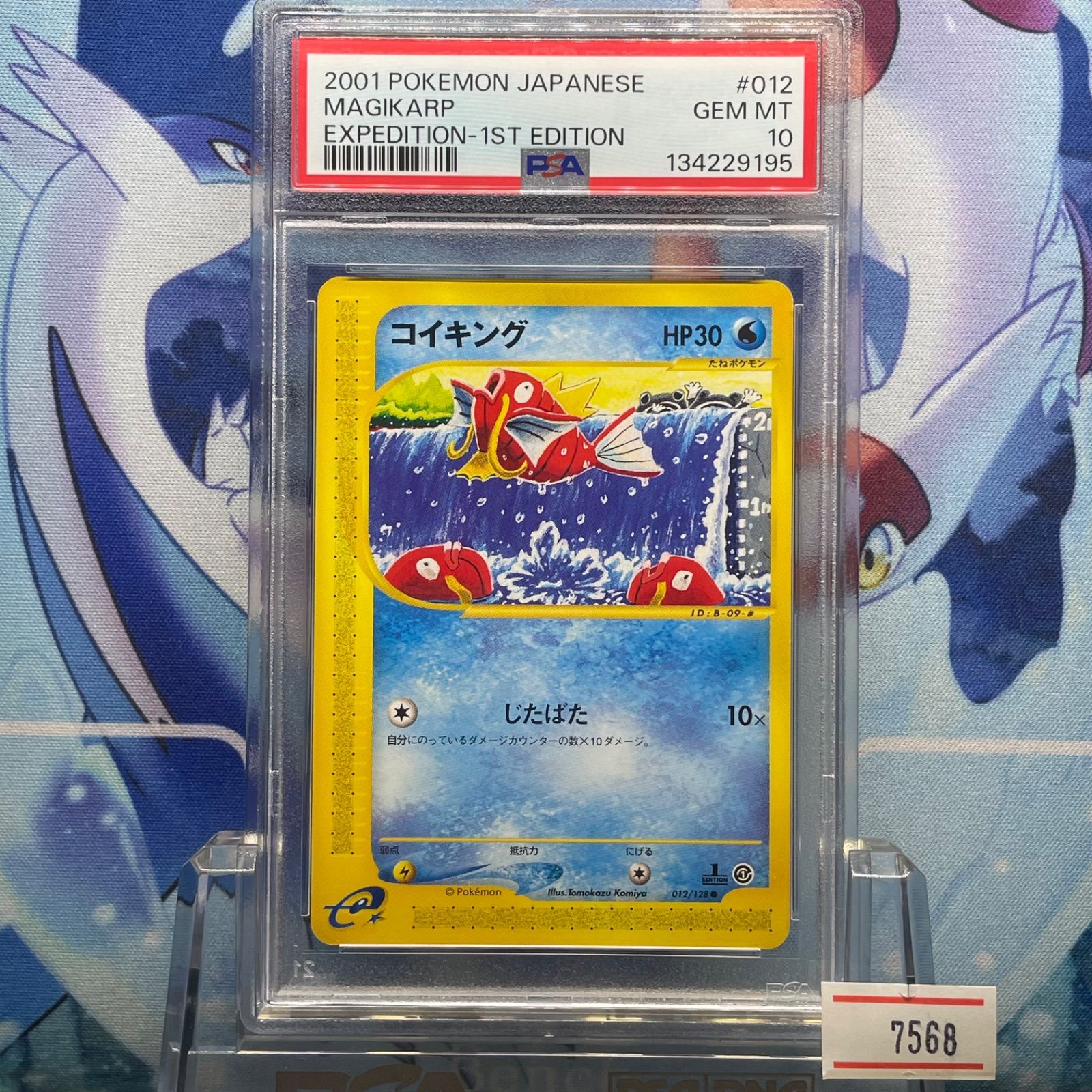 psa10 コイキング ポケモンカードe 第一弾 012/128 【公式通販】