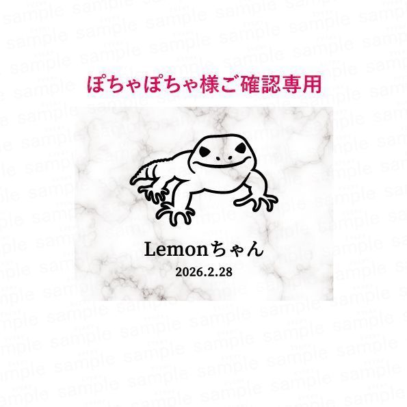【ぽちゃぽちゃ様ご確認用】プレート レオパ nameplate-cage-pp-reopa