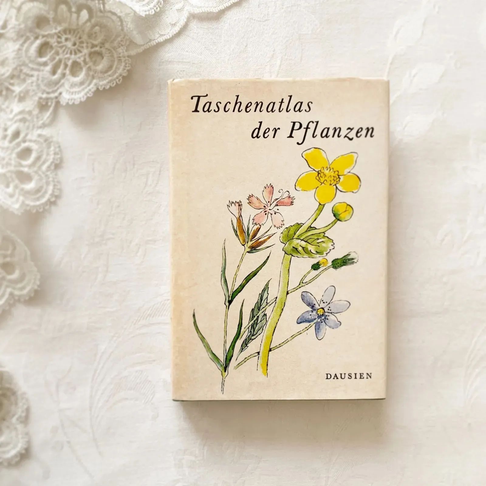 1977年 - チェコの画家カレル・スヴォリンスキー挿画 -絵本のような