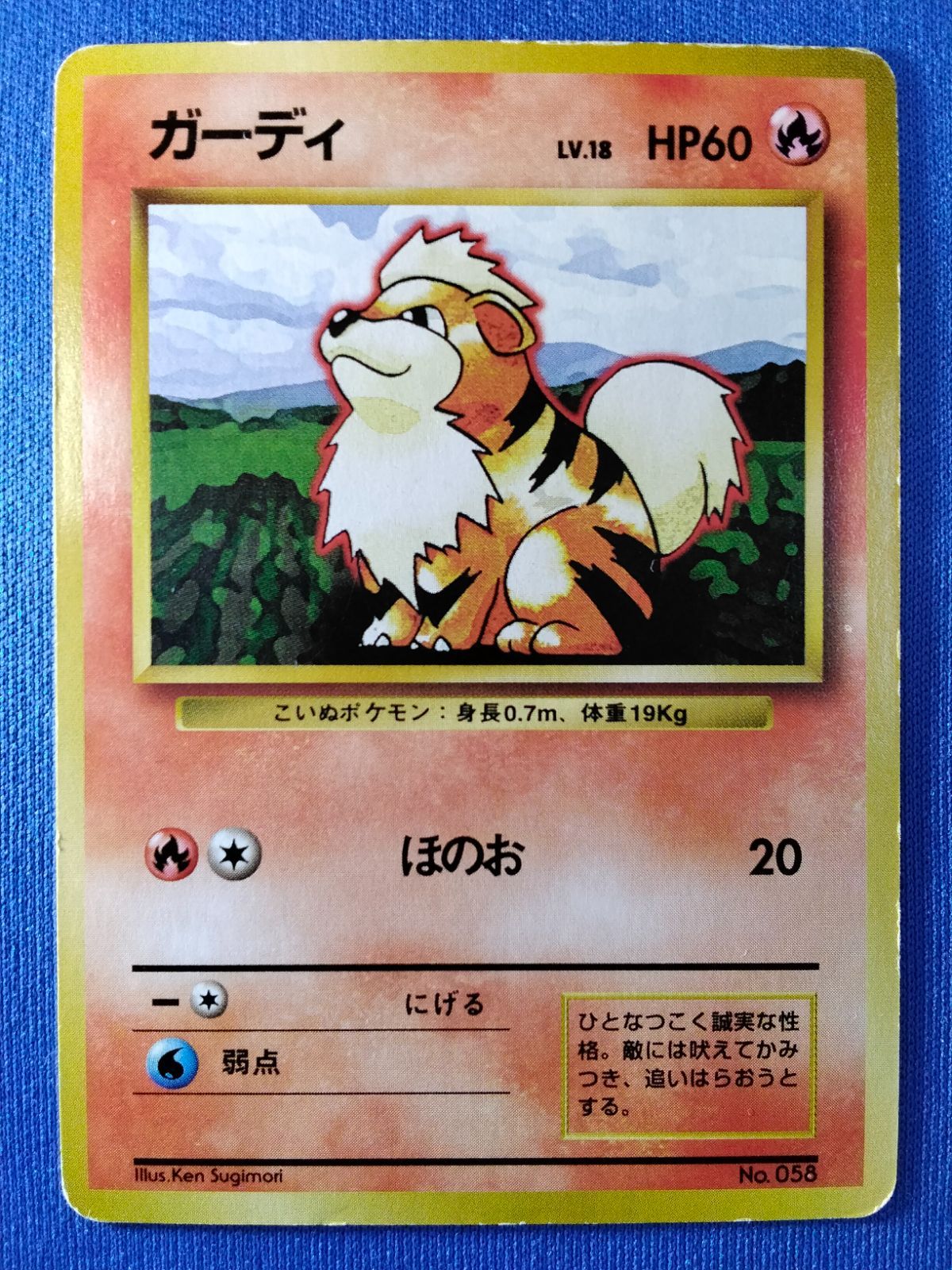 ポケモンカード ガーディ 旧裏面 緑版 ノーマル 14 中古ポケモンカード 