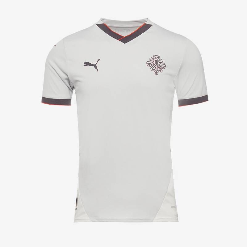 【送料無料・匿名配送】PUMA プーマ アイスランド代表 2024 公式 アウェイ シャツ 灰 新品 正規品 日本未発売 12,735円