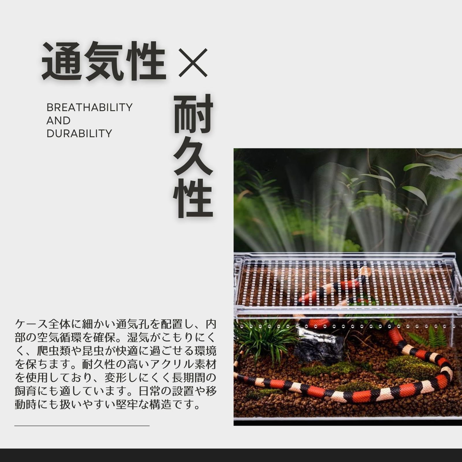 Neutral Zenith 爬虫類 ケージ シェルター 飼育ケース アクリル製