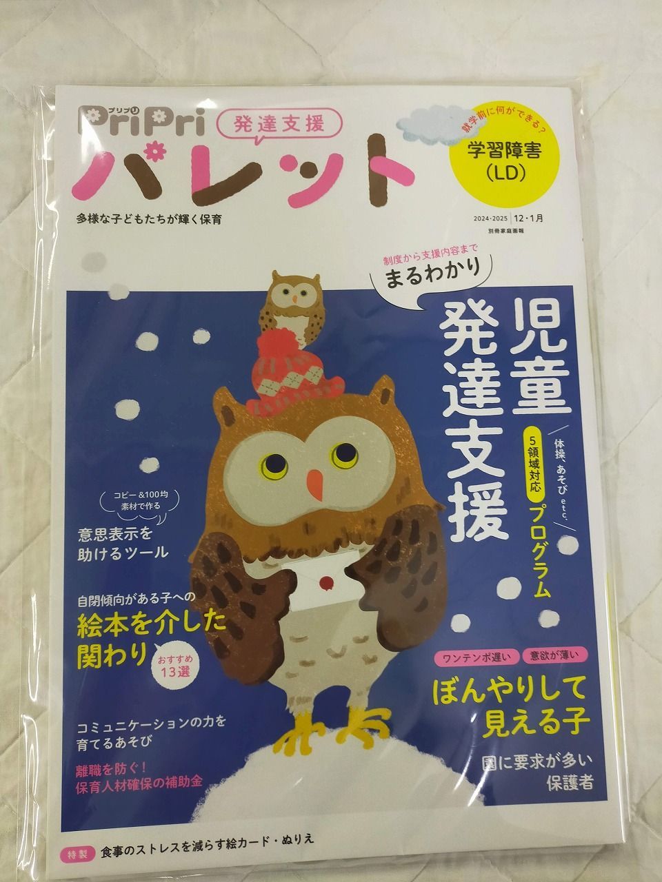 Book]PriPriパレット 2024-2025 12・1月 発達支援 (別冊家庭画報