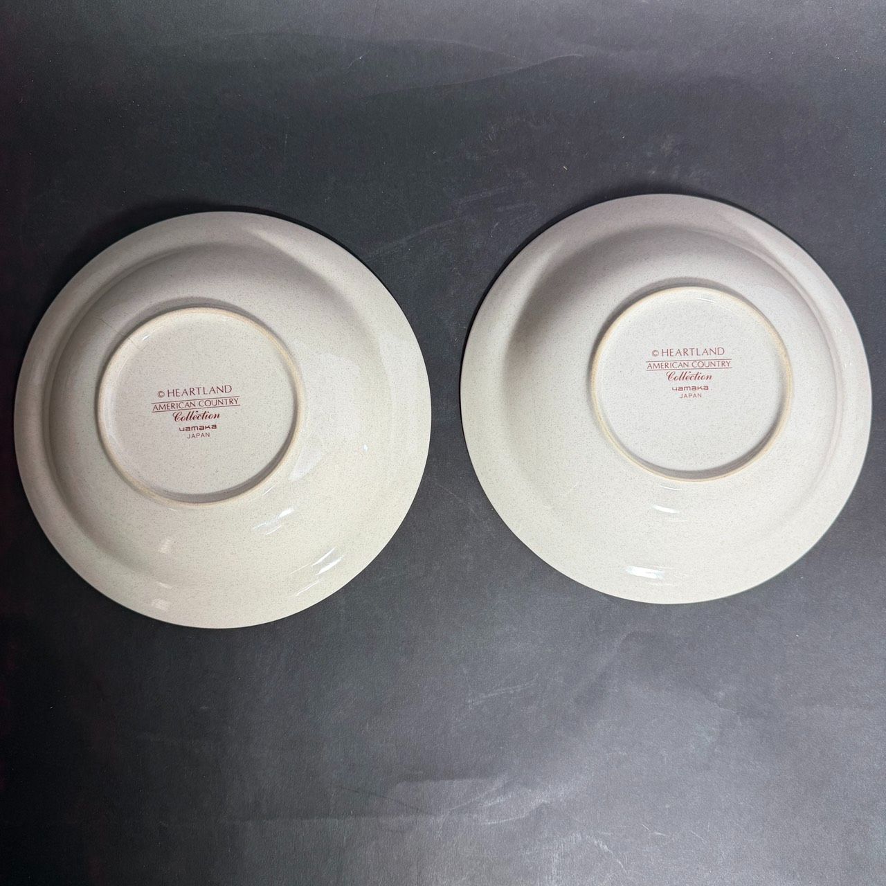 ハートランド カレー皿 2枚セット アメリカンカントリー YAMAKA