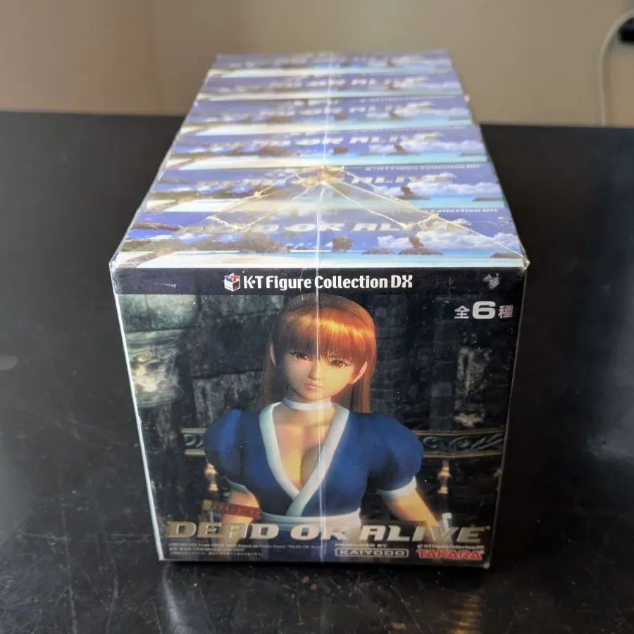 Dead or Alive フルアクション フィギュア 海洋堂 6箱 - メルカリ