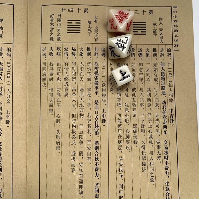 LIKENNY 易占い サイコロ 八面体 ダイス 占い グッズ 易経 八卦