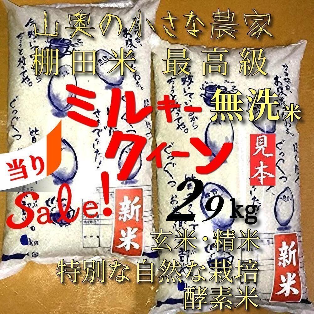 食品 超希少」ミルキークイーン／酵素米 玄米29キロ 「無洗米に精米
