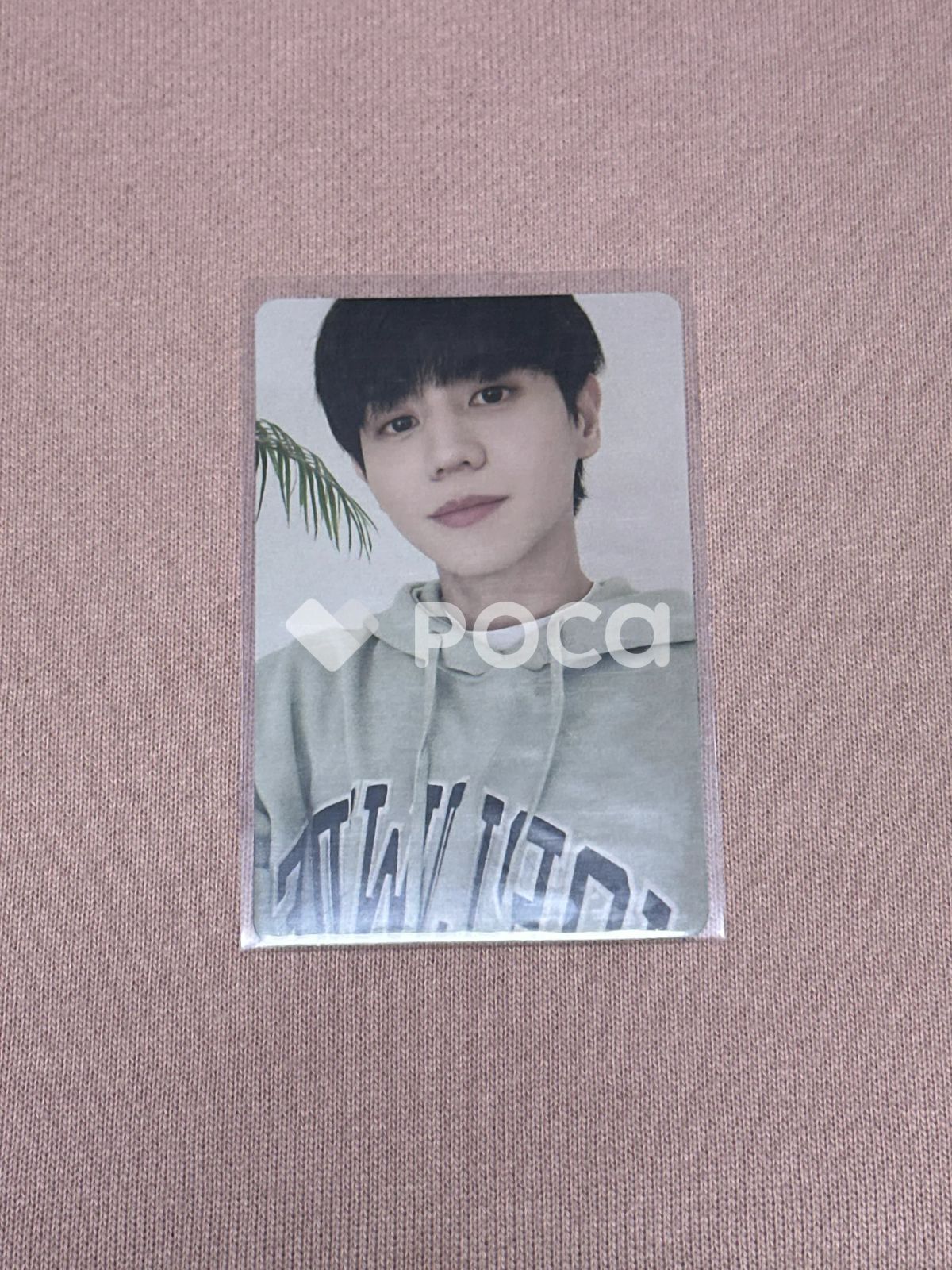 ハイライト ヤン・ヨソプ ハイライト (Highlight) - 2022 シーグリ