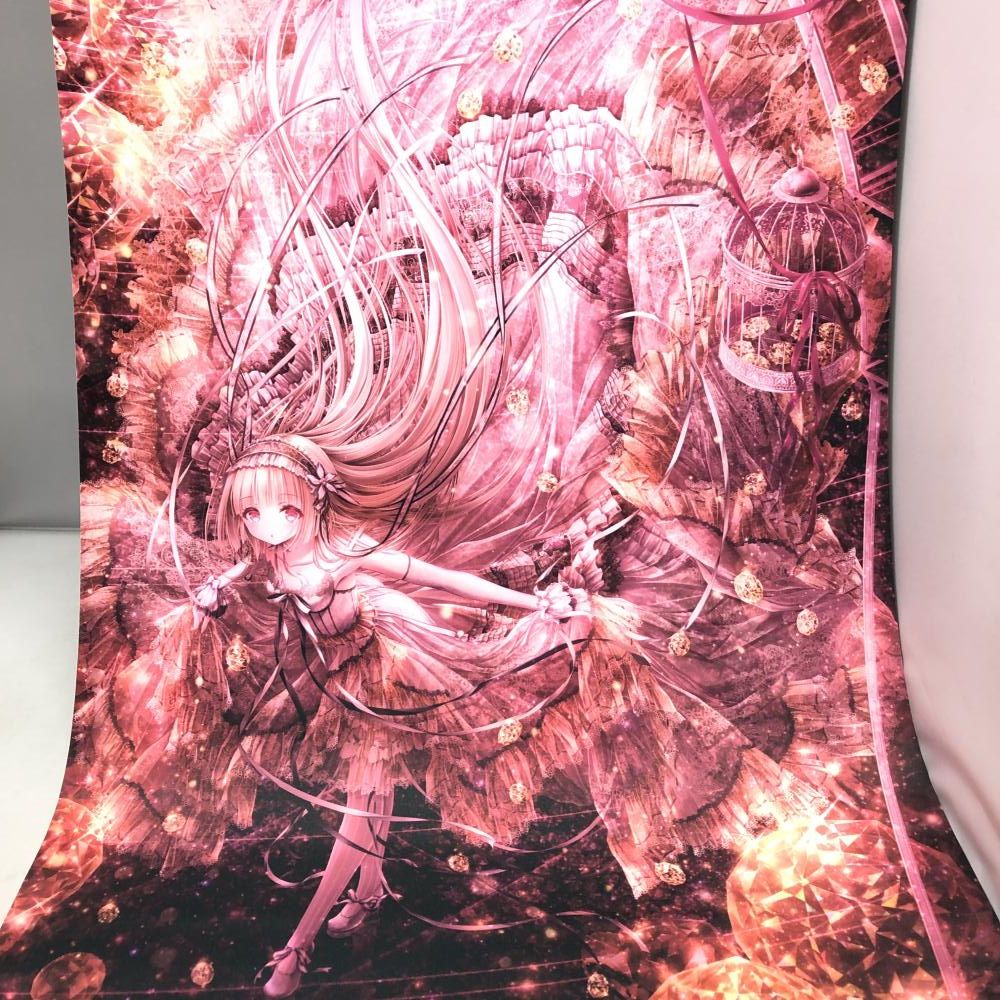 中古】BIANCO AUDACE てぃんくる ダブルスエードB2変形タペストリー[15