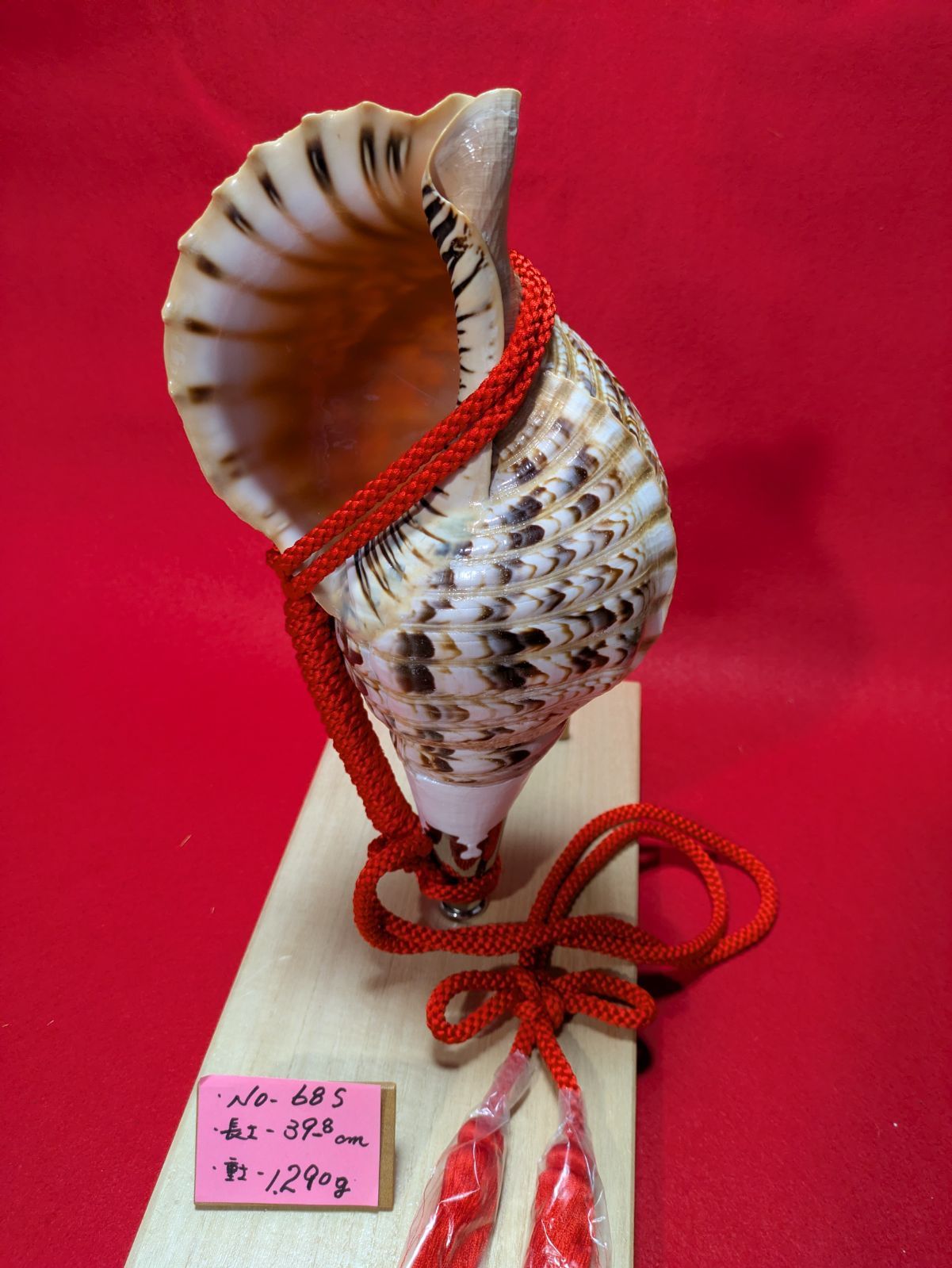 NO−68.S 法螺貝#金具入り#ほら貝#ホラ貝#修験道#和楽器 - メルカリ