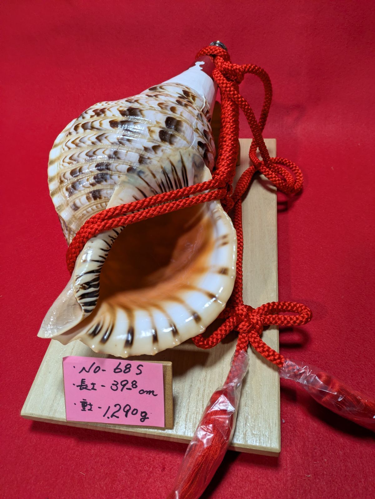 NO−68.S 法螺貝#金具入り#ほら貝#ホラ貝#修験道#和楽器 - メルカリ