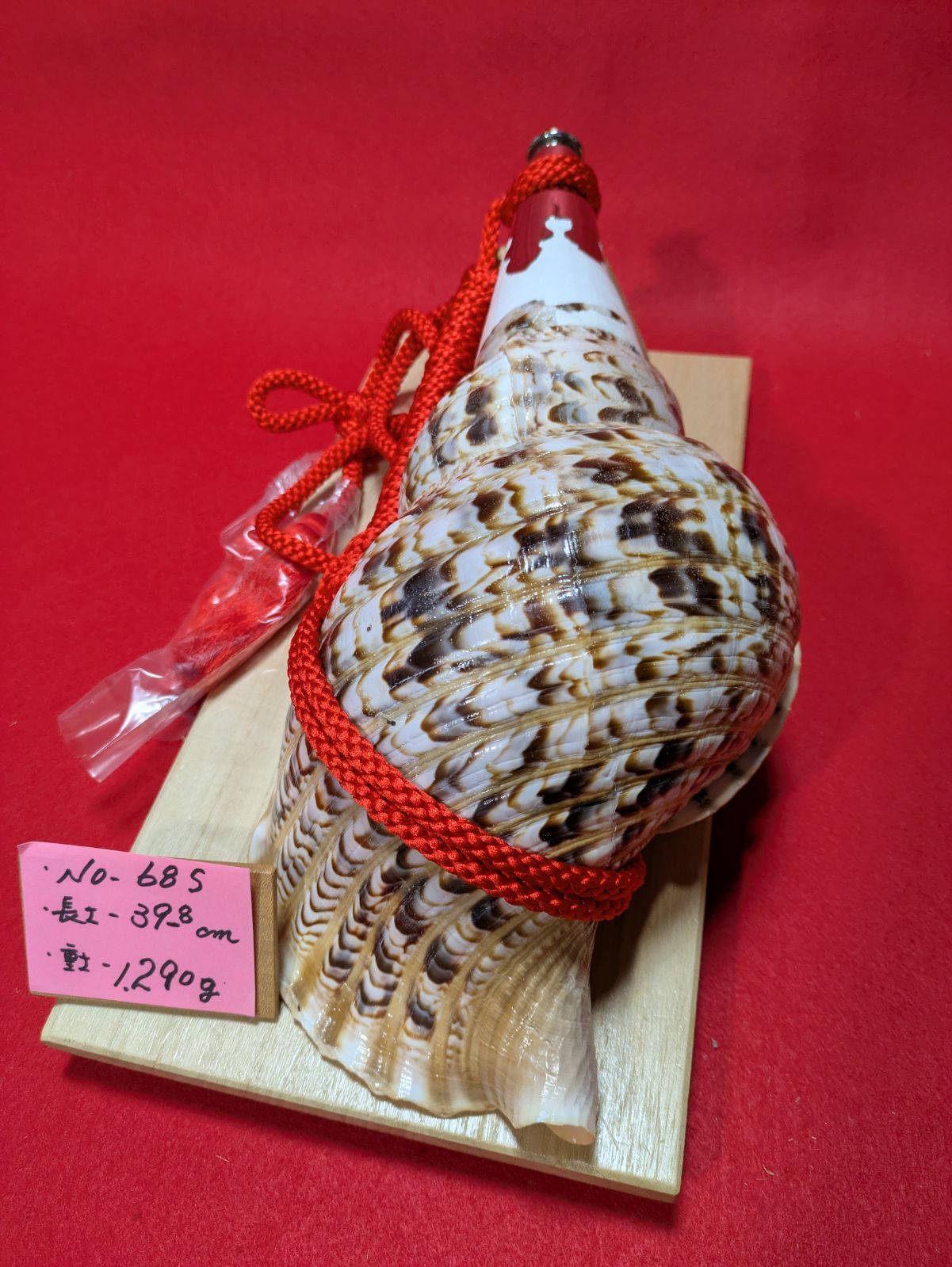 NO−68.S 法螺貝#金具入り#ほら貝#ホラ貝#修験道#和楽器 - メルカリ