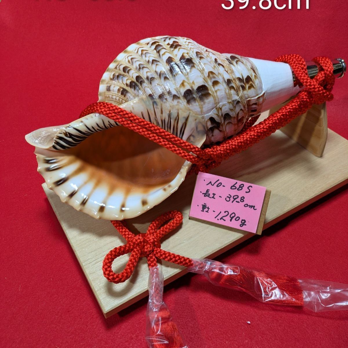 NO−68.S 法螺貝#金具入り#ほら貝#ホラ貝#修験道#和楽器 - メルカリ