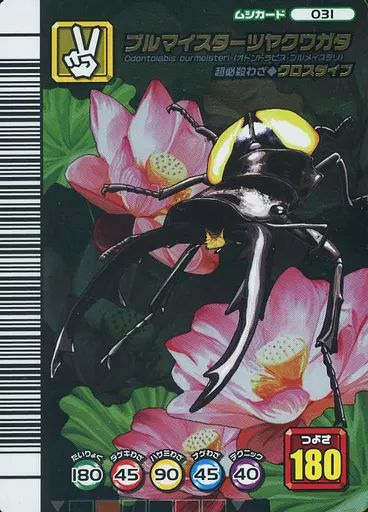 中古】ムシキング 031[銀]：ブルマイスターツヤクワガタ - メルカリ