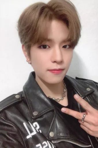 中古】生写真(男性) Stray Kids/Seungmin(スンミン)/ポストカード