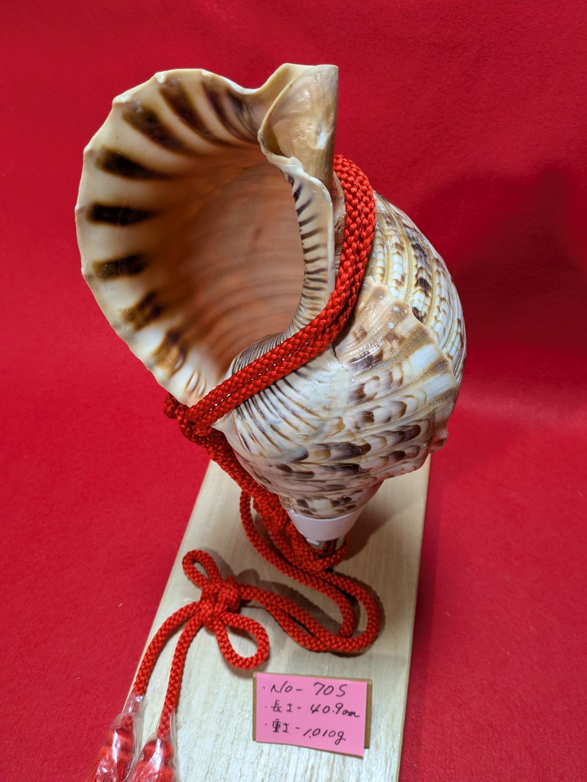 NO−70.S #法螺貝#金具入り#ほら貝#ホラ貝#修験道#和楽器 - メルカリ