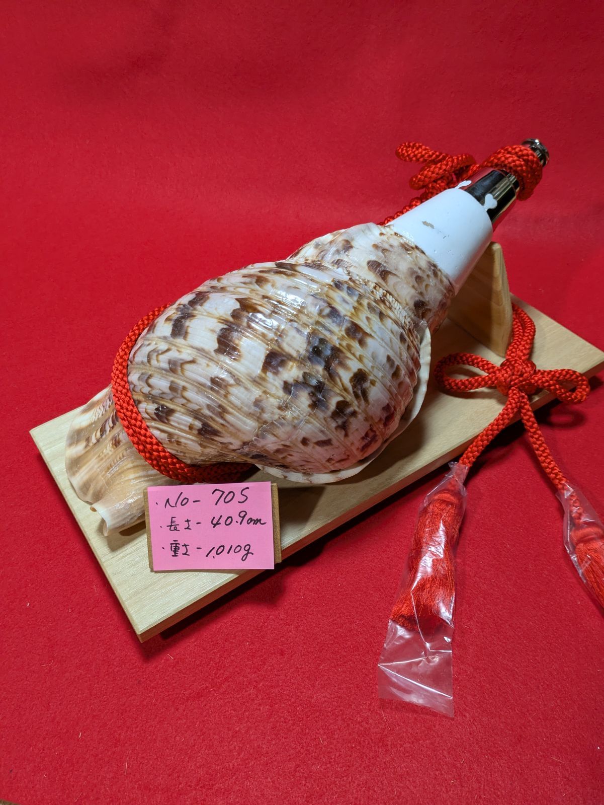 NO−70.S #法螺貝#金具入り#ほら貝#ホラ貝#修験道#和楽器 - メルカリ