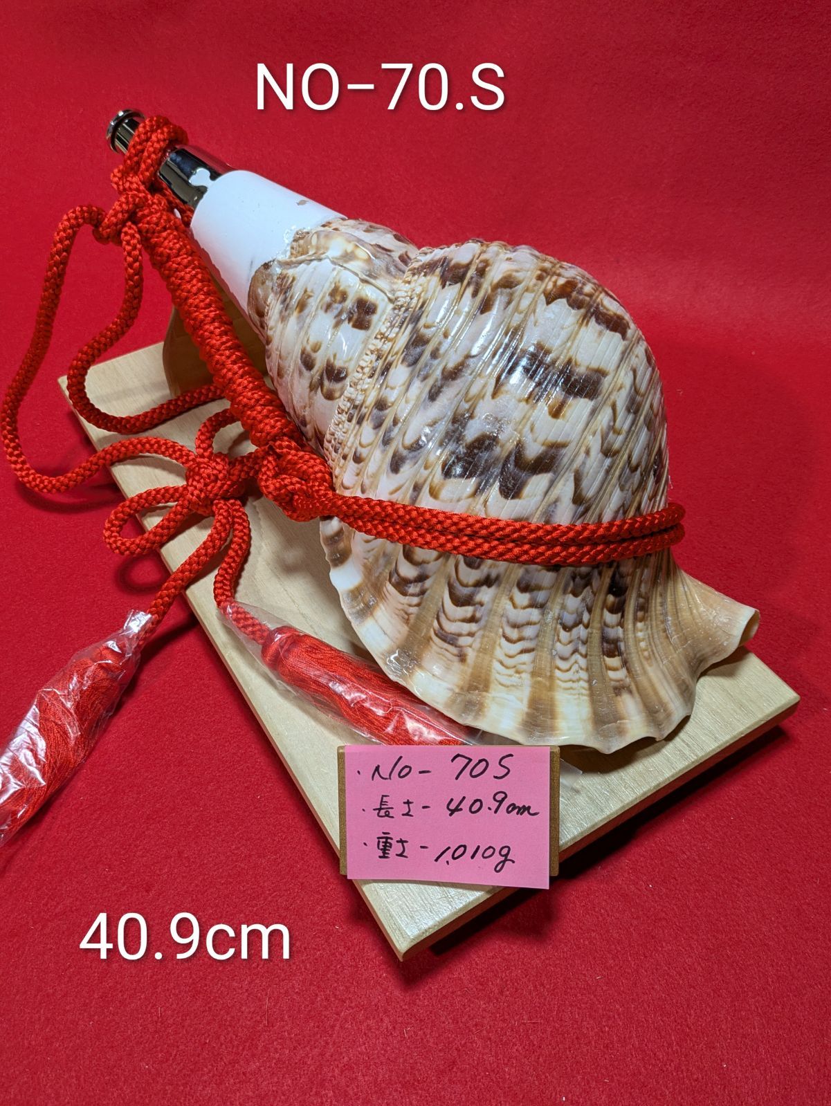 NO−70.S #法螺貝#金具入り#ほら貝#ホラ貝#修験道#和楽器 - メルカリ