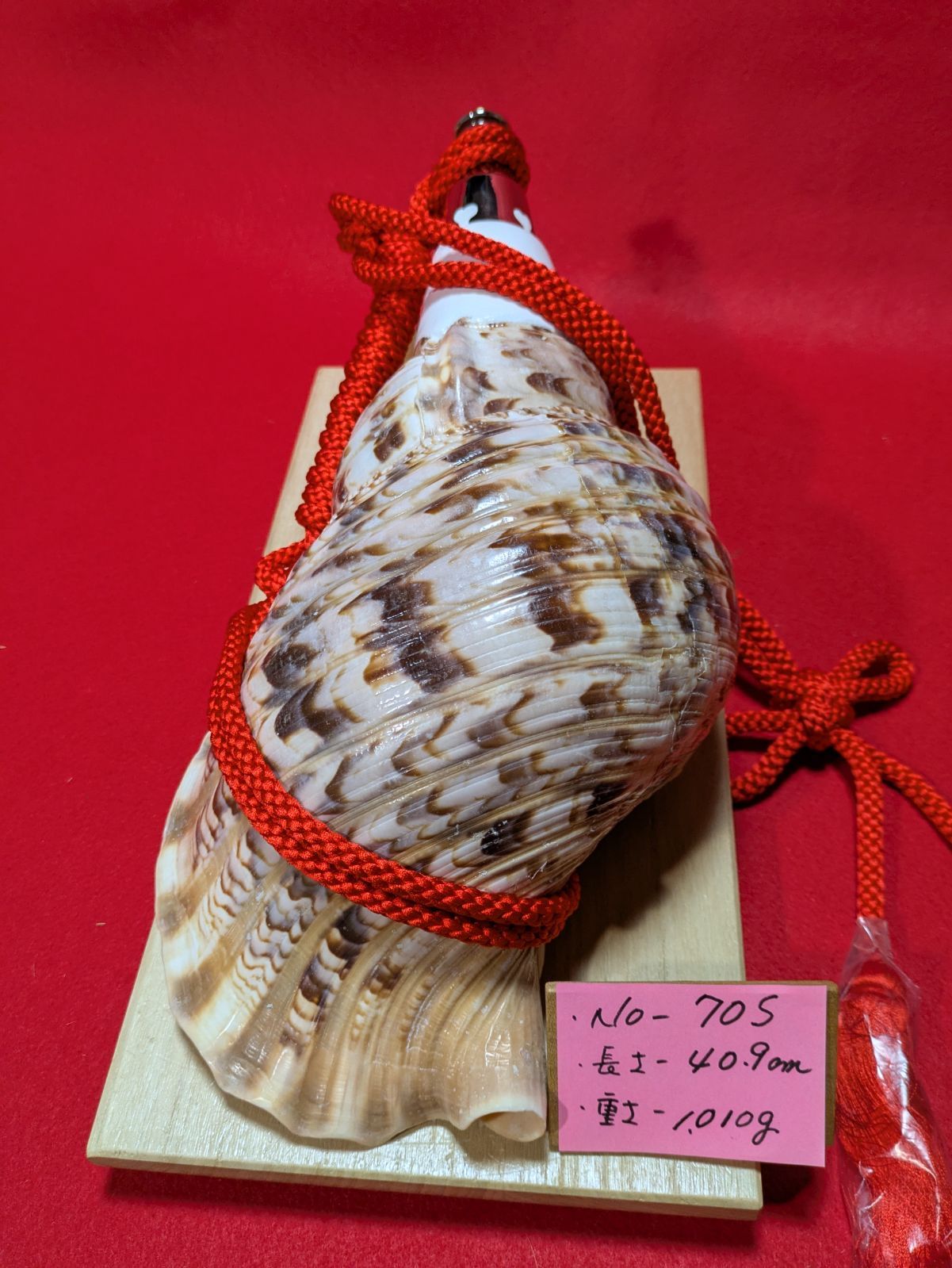 NO−70.S #法螺貝#金具入り#ほら貝#ホラ貝#修験道#和楽器 - メルカリ