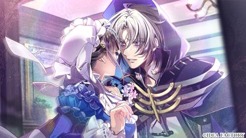 新品 【Switch】ミストニアの翅望 -The Lost Delight- 特装版 - メルカリ