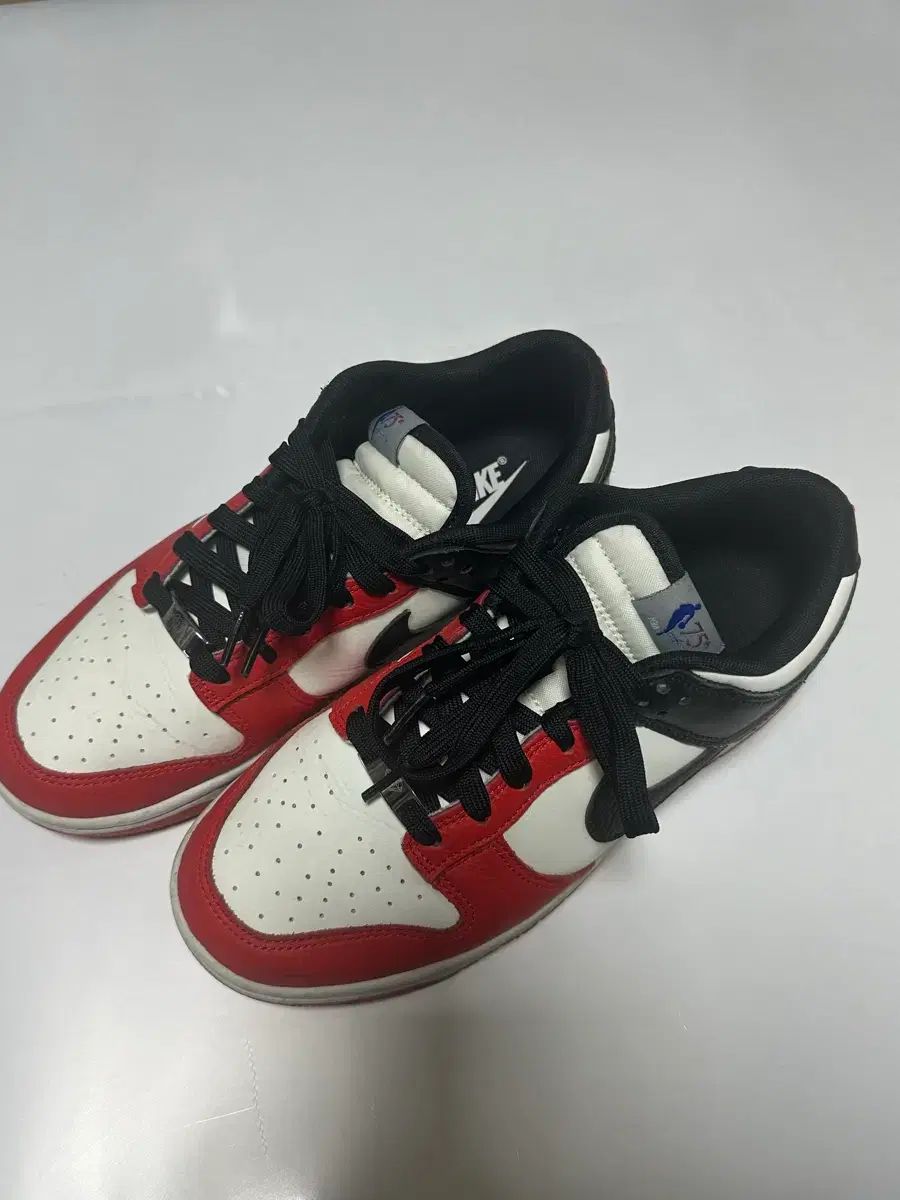 NIKE ダンクロー NBA 75周年