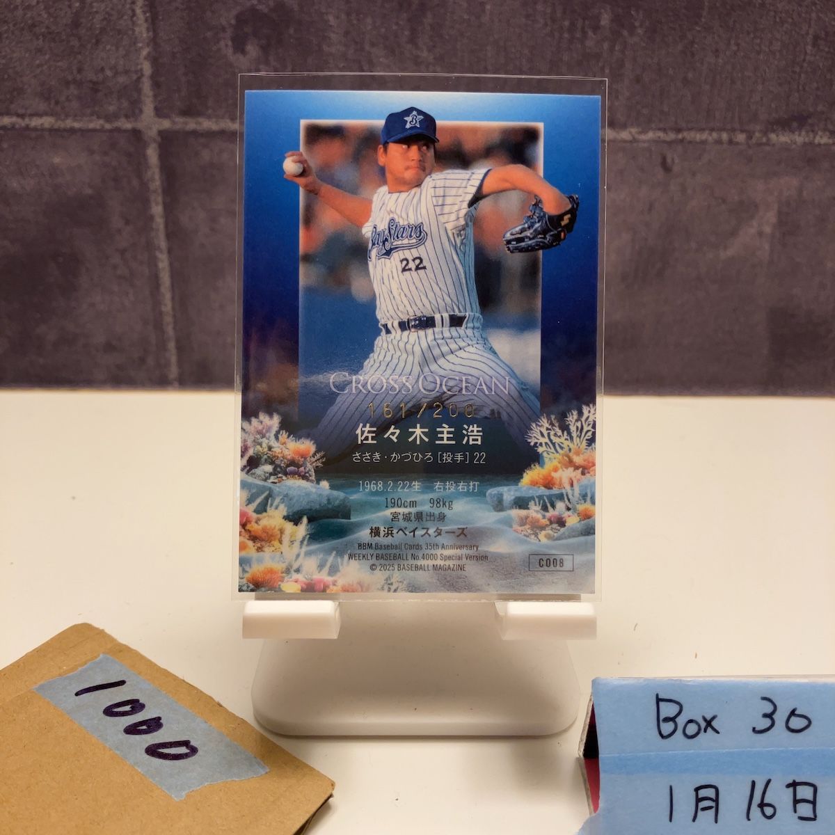 2025 BBM 佐々木主浩 161/200 金箔サイン 横浜ベイスターズ Cross