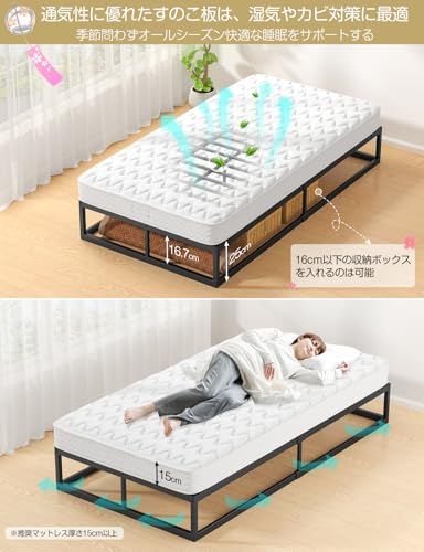 耐荷重300kg] ベッドフレーム シングル Holdm しんぐる パイプベッド