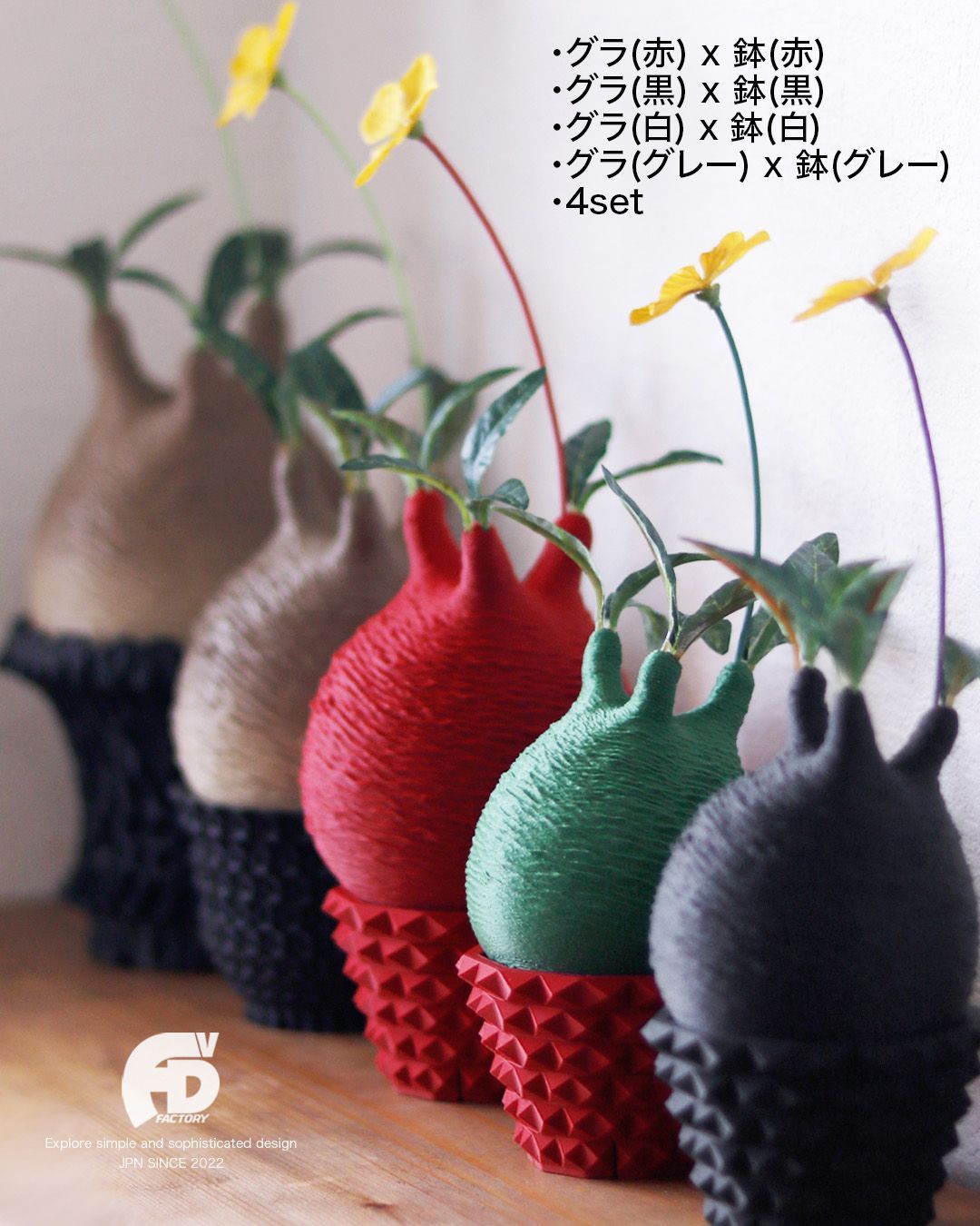 Isaka Tomohiro様 4set 触れたくなるCaudex造形 パキポディウム