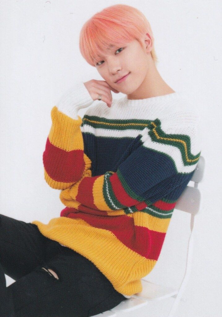 SEVENTEEN 2018 IDEAL CUT IN JAPAN DINO トレーディングカード 0060