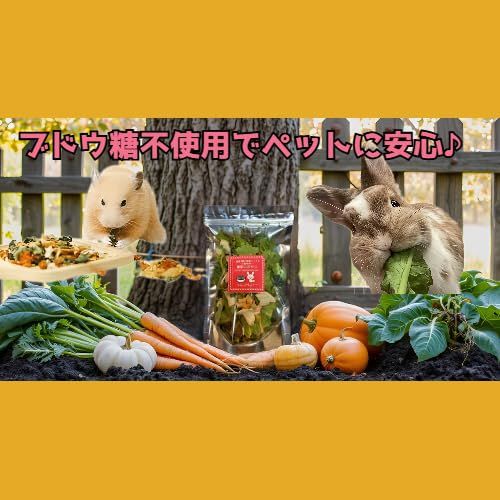農家が作った 小動物のおやつ 5種の野菜ミックス 50g 国産 小動物
