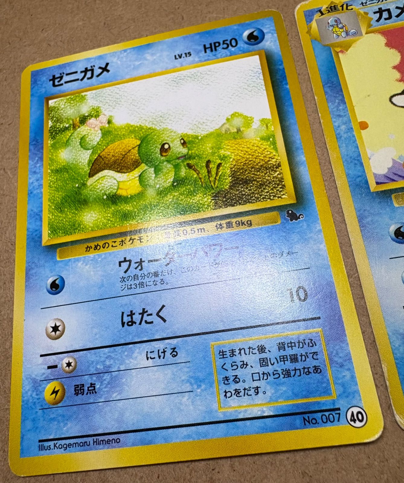 イントロパックのゼニガメ40＆カメール3(ゼニガメマーク) ポケモン