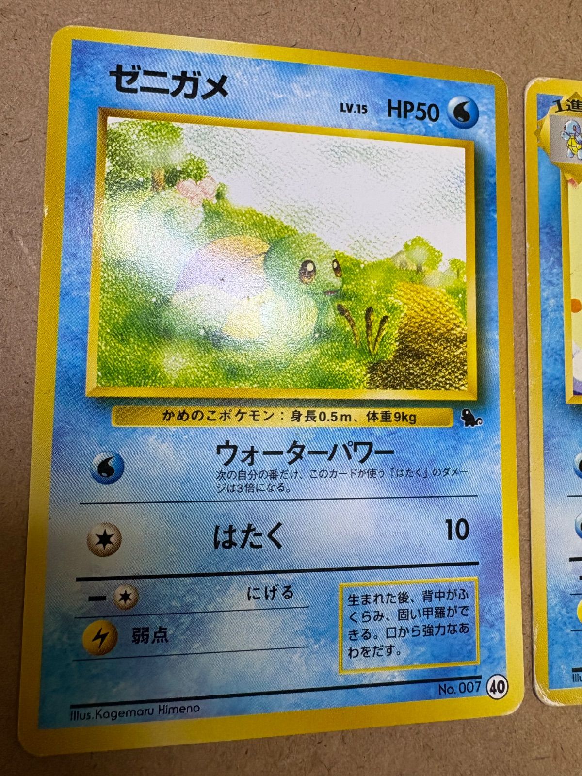 イントロパックのゼニガメ40＆カメール3(ゼニガメマーク) ポケモン