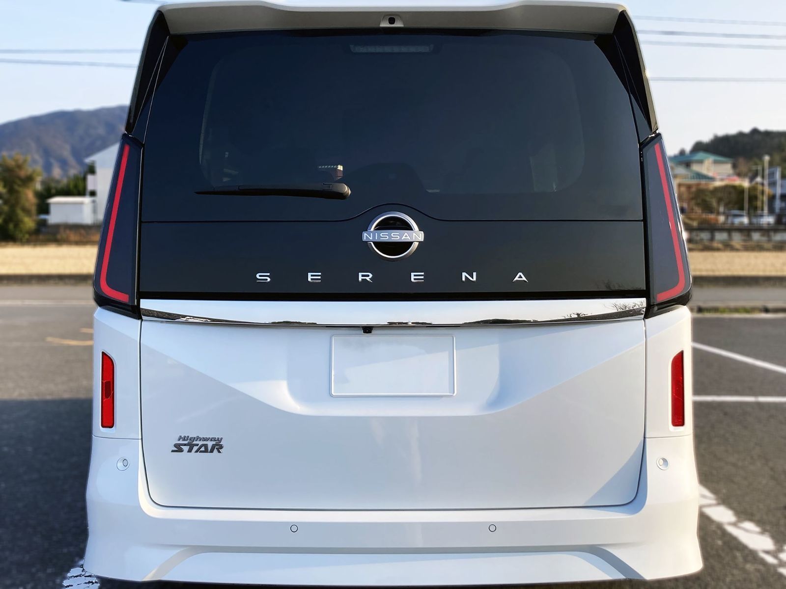 Tint+再使用できる セレナ C28 テールランプ スモークフィルム c28