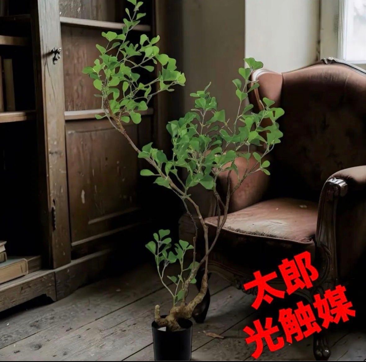 光触媒 人工観葉植物 フェイクグリーン フィカストライ 光触媒 人工観葉植物 フェイクグリーン フィカストライ